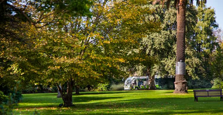 Royal Botanic Gardens Guided Walk photo 2