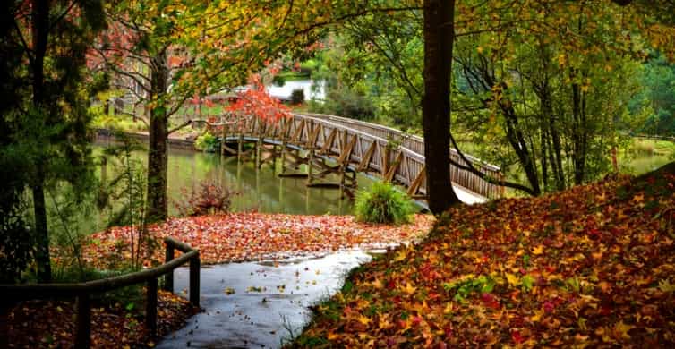 Puffing Billy Steam Train & Dandenong Ranges photo 3