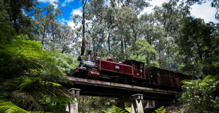 Puffing Billy Steam Train & Dandenong Ranges photo 8