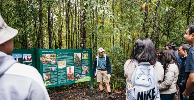 Great Ocean Road & 12 Apostles Day Trip photo 8