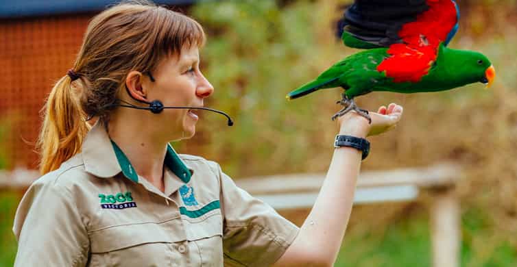 Healesville Sanctuary Wildlife Experience photo 5