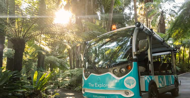 Royal Botanic Gardens Guided Walk