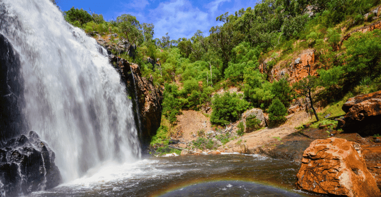 Grampians National Park Eco Day Tour photo 2