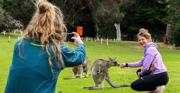 Grampians National Park Eco Day Tour photo 7