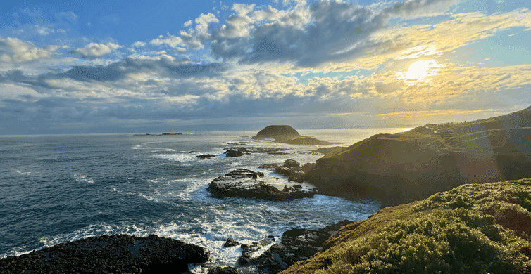 Phillip Island Penguin Parade Tour photo 9