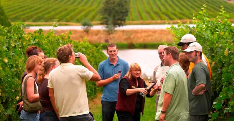 Yarra Valley Winery Hopping Tour